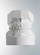 © SuperStock - Set of plaster dental molds