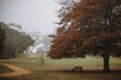 © SuperStock - Park bench with colorful leaves and trees during Autumn season