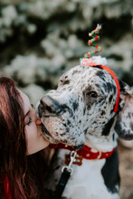 A Woman In Her Twenties With Her Dog Dressed Up For Christmas
