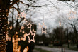 © Chelsea Victoria/Stocksy - Holiday lights on a tree
