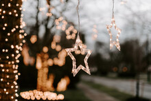Holiday Lights On A Tree