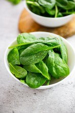 Wet Spinach Leaves