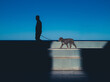 © Sergio Murria/Stocksy - Silhouette walking with a dog
