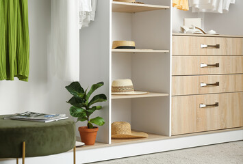 Wall Mural - Modern wardrobe with stylish hats in room