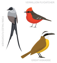 Bird Tyrant Flycatcher Set Cartoon Vector Illustration