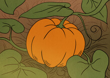 Pumpkin With Green Leaves