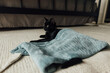 © Jessica Klaus/Stocksy - Injured feline laying on rug.