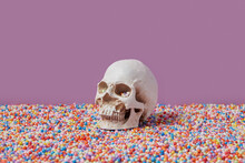 Human Skull And Colored Balls
