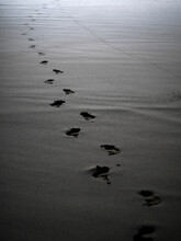 Footprints In Black Sand