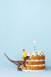 © Ruth Black/Stocksy - Dinosaur eating a birthday cake