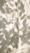© Haus Klaus/Stocksy - Leaf shadow on white fabric