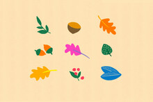 Colorful Autumn Illustration With Leaves And Fruits