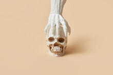 Gothic Hand Touching Scary Skull