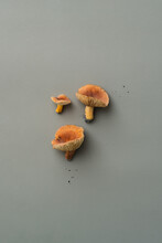 Three Orange Mushrooms 