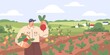 Farmer collecting harvest on agriculture field. Farm worker in vegetable garden with ripe beets in basket. Man in summer organic plantation. Flat vector illustration of person and rural landscape