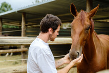 Caring Man Touching Head Of Horse In Barn
