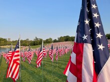 Thousands Of American Flags