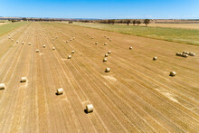 Hay Bails On Harvested Land