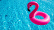 Flamingo toy. Pink inflatable flamingo in pool water for summer beach background. Luxury lifestyle travel.