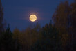 © Ilya/Stocksy - Full moon in autumn sky nature night landscape