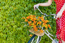 Woman Sitting On Bicycle With Freesia Flower's Basket In Front Of Ivy Wall