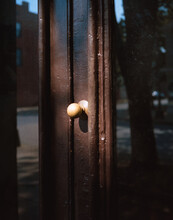 Brass Doorknob