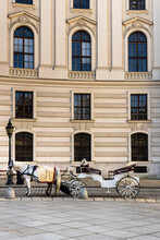 Horses Carriage On City Street