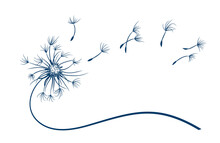 The Field Dandelion Flower Symbol With Flying Seeds.