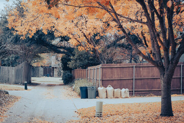 Vintage filter photo a bright yellow fallen leaves on back street with paper leaf bags and trash bins at suburban house near Dallas, Texas