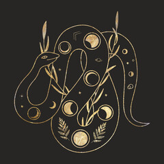 chic golden luxurious retro vintage engraving style. image of the sun and moon phases. culture of accultism. Vector graphics