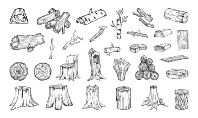 Collection of monochrome illustrations of wood raw materials in sketch style. Hand drawings in art ink style. Black and white graphics.   