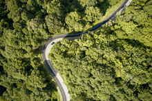 USA, Virginia, Aerial View Of Back Of Dragon Road Surrounded By Green Forest In Summer