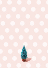 Studio Shot Of Single Coniferous Tree Standing Against Pink Polka Dot Background