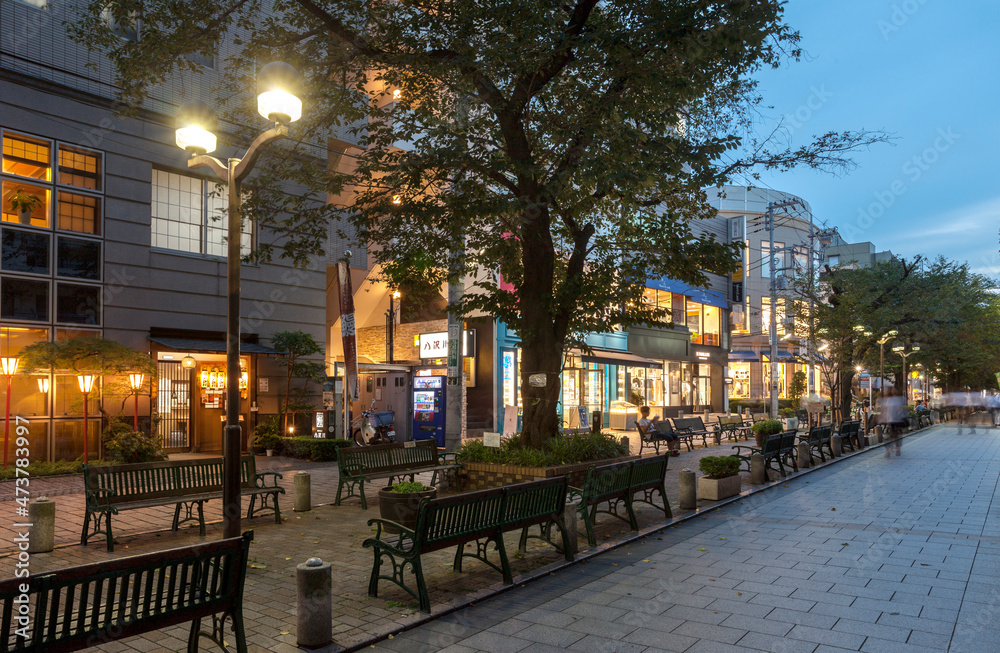 自由が丘・九品仏川緑道（東京都世田谷区奥沢・目黒区自由が丘