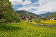 Blumenwiese mit einem Dorf im Hintergrund, gelber Löwenzahn, Frühling