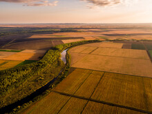 Ripe Agricultural Field At Sunset, Vojvodina, Serbia