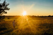 © Westend61 - Rear view of boy playing on field against sky at sunset, Poland