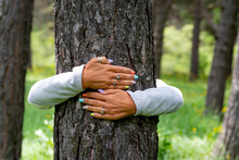 Woman Embracing Tree Trunk In Forest