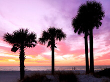 The Beach At Sunset With Silhouetted Palm Trees And Dramatic Sky. 