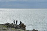 Fototapeta Big Ben - People watching the sea on the Quiberon peninsula coast in Brittany - France