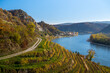 Beautiful autumn landscape with colorful grapevines, viewpoint over the beautiful village of Dürnstein, Wachau, Austria