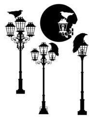 Wall Mural - raven bird sitting on antique street light - halloween theme black and white vector silhouette desig
