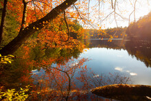 Fall Colors Around Spring Pond In Granby, Connecticut.