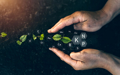 Biologic education in plant development. Role of mineral nutrients in plant life for development 
and growth.Factors necessary for the process of plant growth and development.Plant life cycle. 