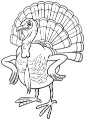 Wall Mural - cartoon turkey bird farm animal character coloring book page