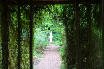 Wall Mural - statue in the Adelaide botanic garden