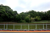 Fototapeta Tęcza - bridge in the park