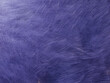 Very peri - color of the year 2022. Hairy background in trendy color. Futuristic monochrome violet hairy fluffy background