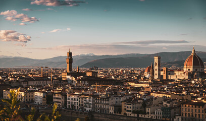 Wall Mural - view above firenze