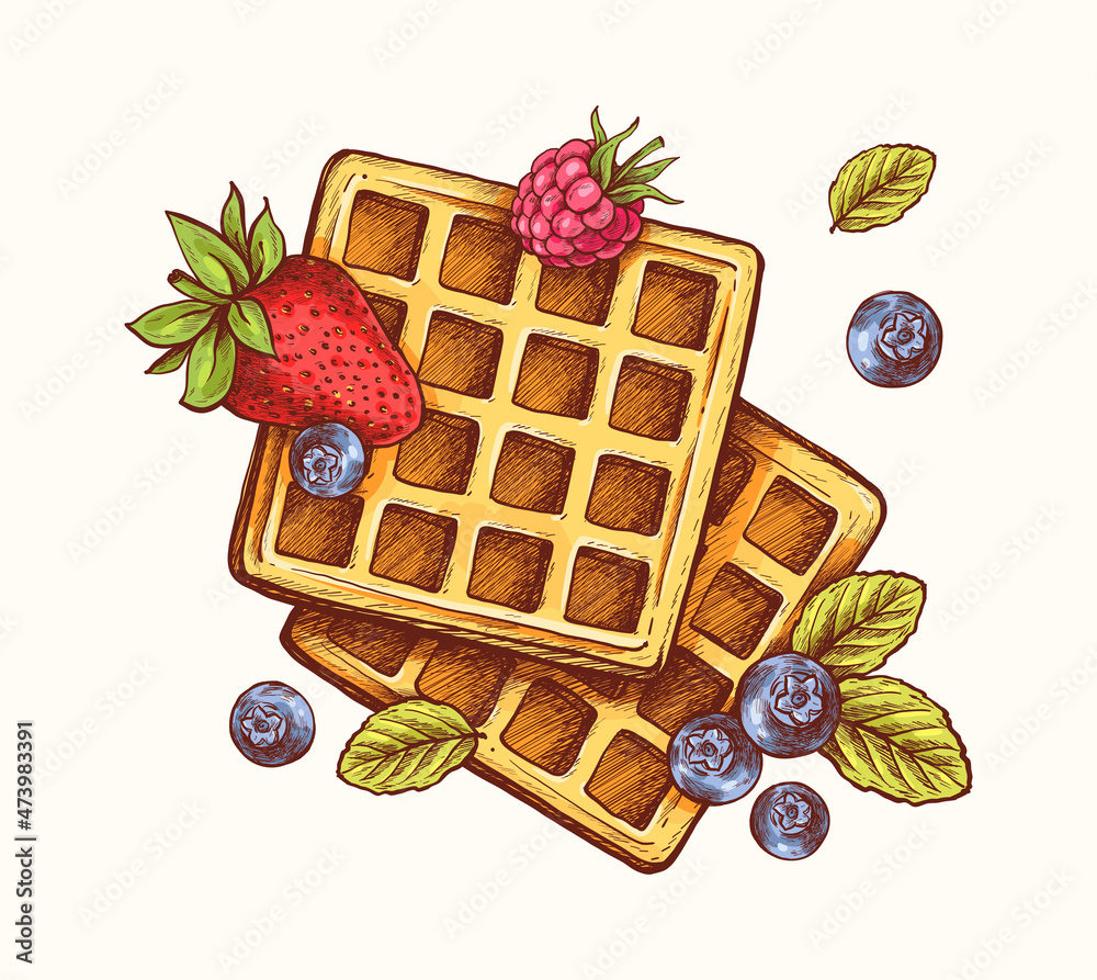 Hand drawn waffles with fruit in vintage engraved style. Breakfast ...